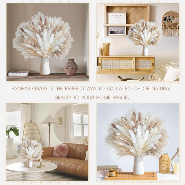 Natural Dried Pampas ,Grass ,Boho, Home Decor ,Bouquet, Phragmites Dried Flowers ,Bouquet ,for ,Wedding, Floral, Arrangements Home Decorations