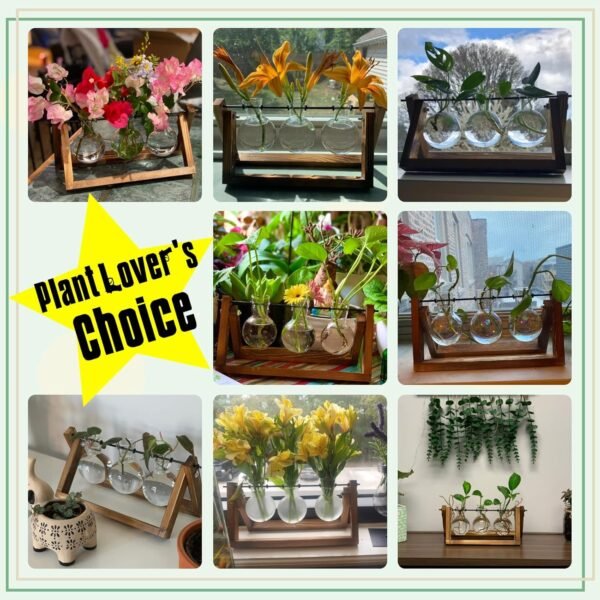 Plant Terrarium with Wooden Stand, Air Planter Bulb Glass Vase Metal Swivel Holder Retro Tabletop for Hydroponics Home Garden Office Decoration