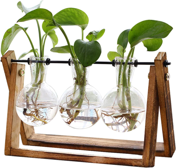 Plant Terrarium with Wooden Stand, Air Planter Bulb Glass Vase Metal Swivel Holder Retro Tabletop for Hydroponics Home Garden Office Decoration