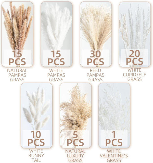 Natural Dried Pampas ,Grass ,Boho, Home Decor ,Bouquet, Phragmites Dried Flowers ,Bouquet ,for ,Wedding, Floral, Arrangements Home Decorations