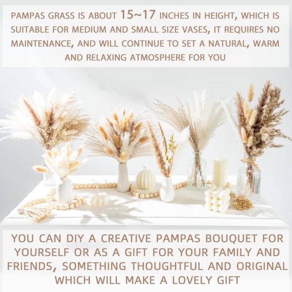 Natural Dried Pampas ,Grass ,Boho, Home Decor ,Bouquet, Phragmites Dried Flowers ,Bouquet ,for ,Wedding, Floral, Arrangements Home Decorations