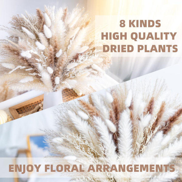 Natural Dried Pampas ,Grass ,Boho, Home Decor ,Bouquet, Phragmites Dried Flowers ,Bouquet ,for ,Wedding, Floral, Arrangements Home Decorations